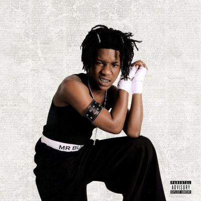 LaCabra Mr Bully Album Download