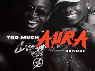 Majorsteeze Too Much Aura Mp3 Download