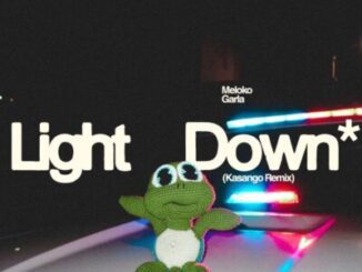 Meloko Light Down Kasango Remix Mp3 Download