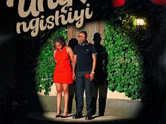 Njelic Ungangishiyi Mp3 Download