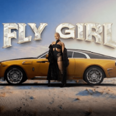 Pepsurah Fly Girl EP Download