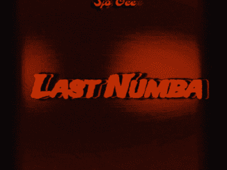 Sjo Gee Last Numba Mp3 Download