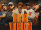 Super Mosha Ottimo Lihle Are You Walking Mp3 Download