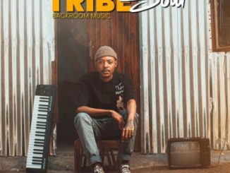 TribeSoul Dala Mp3 Download