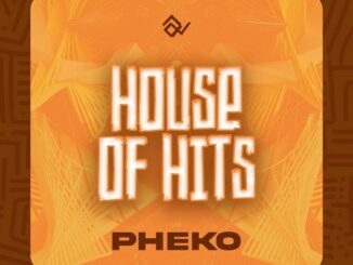 Tumisho House Of Hits EP Download