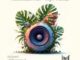 Zakes Bantwini Phezulu­­ Mp3 Download