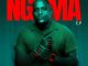Lebza TheVillain Defender Mp3 Download