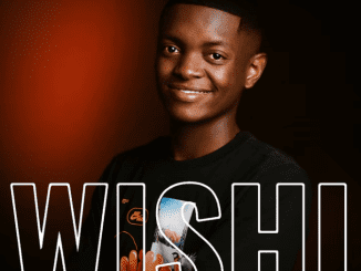 Navaro Wishi Mp3 Download