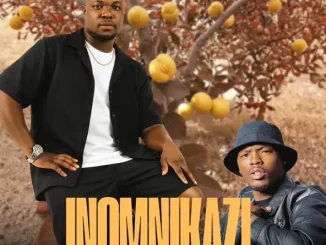 Phangandawo Inomnikazi Mp3 Download