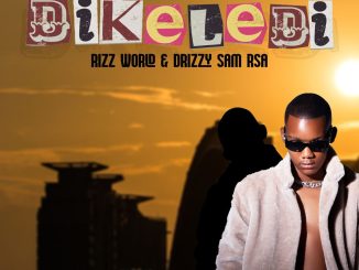 Rizz World Dikeledi Mp3 Download