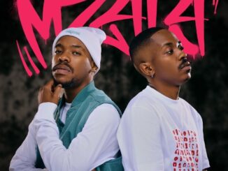 Shakes & Les Mzala Mp3 Download