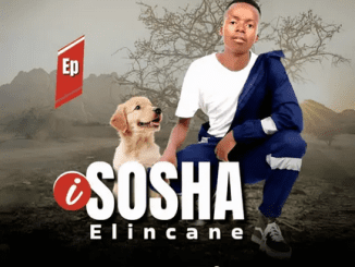 Sosha elincane Dali Mp3 Download