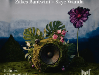 Zakes Bantwini Never Meant For Me Mp3 Download