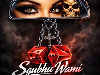 Zantii Sgubhu Wami Mp3 Download