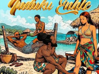 Big Zulu Induku Enhle Mp3 Download