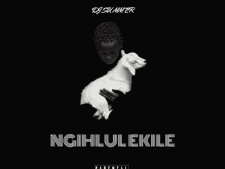 DJ SU MM ER Ngihlulekile Mp3 Download