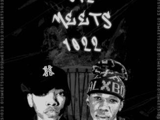DT.MO 012 Meets 1022 EP Download