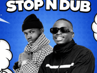 Dubrina Za Stop N Dub Mp3 Download