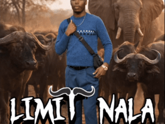 Limit Nala Ama Buffalo Snippet Mp3 Download