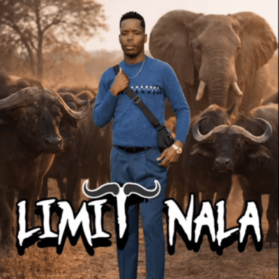 Limit Nala Ama Buffalo (Snippet) Mp3 Download