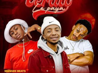 ManGeebeats Lerato Le Paya Mp3 Download