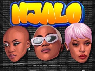 Nelz, Moozile Njalo Mp3 Download
