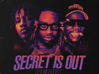 Skiips Secret Is Out Remix Mp3 Download