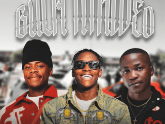Syfred Mcky Bula Nthweo Mp3 Download