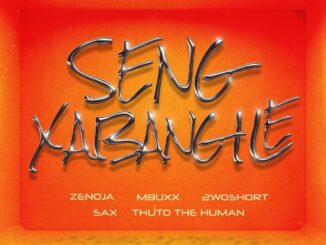 Zenoja Seng Xabangile Mp3 Download