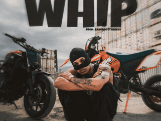 Ziggy4x Whip Mp3 Download