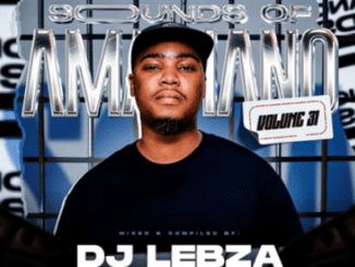 DJ Lebza Sounds Of Amapiano Vol 31 Exclusive Mix Download