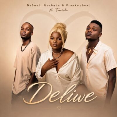 De Soul Deliwe Mp3 Download