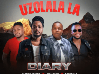 Diary Uzolala La Mp3 Download