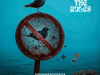 DrummeRTee924 Lower The Bass Mp3 Download