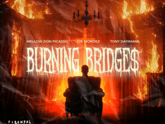 Mellow Don Picasso Burning Bridges Mp3 Download