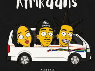 Priddy Prince Afrikaans Mp3 Download