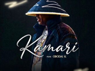 PureVibe Kamari Mp3 Download