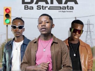 Sabza Womqulo Bana Ba Straata 2.0 Mp3 Download