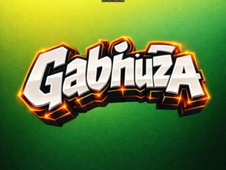 Siggboyz Gabhuza Mp3 Download