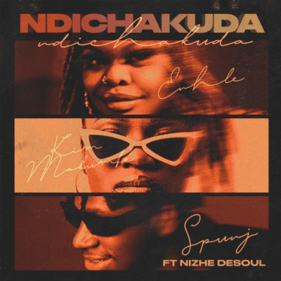 Spunj Ndichakuda Mp3 Download