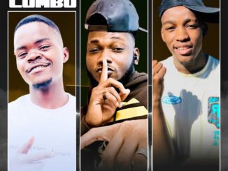 TopDawg SA Amacombo Heat Mp3 Download