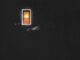 Bees & Honey Daylight Mp3 Download