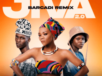Brenda Fassie Jiva 2.0 Mp3 Download