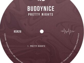 Buddynice Pretty Nights Mp3 Download