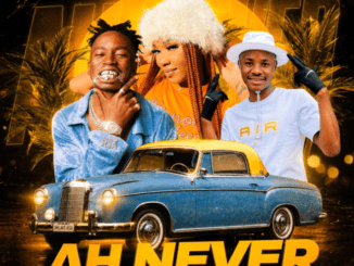 DJ Nhlaks Ah Never Mp3 Download