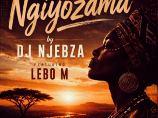 DJ Njebza Ngiyozama Mp3 Download