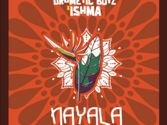 Drumetic Boyz Nayala Mp3 Download