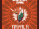 Drumetic Boyz Nayala Mp3 Download
