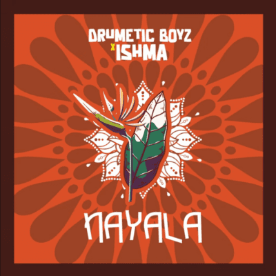 Drumetic Boyz Nayala Mp3 Download