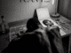 LRDÈ I Can't Mp3 Download